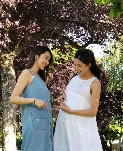 她藏起孕肚离婚总裁全球疯找短剧在线观看平台 她藏起孕肚离开三年七猫--第1张
