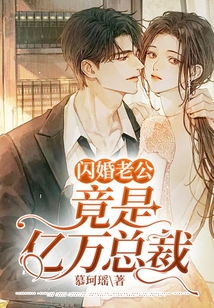 闪婚豪门，总裁老公马甲藏不住--第1张