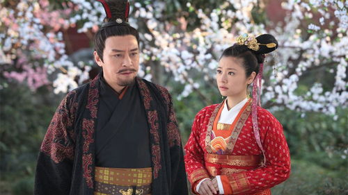 穿越之野蛮王妃，倾世王妃要休夫--第1张
