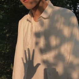 失忆后我多了五个男朋友最新章节免费阅读，失忆后我被四个男人疯抢--第1张