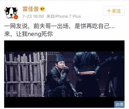 前夫的白月光或五年后我成了前夫的白月光--第1张