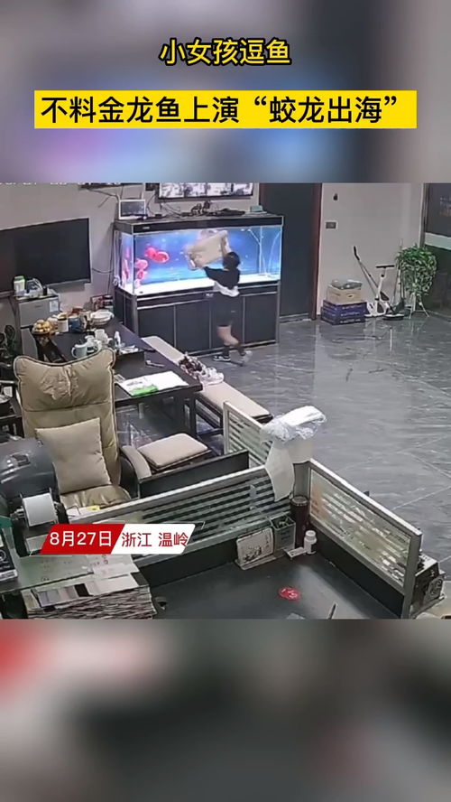 真龙出海宋楠短剧在线观看平台，免费观看平台之一--第1张