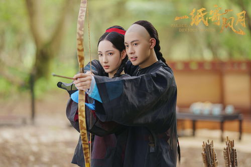 绝代骄龙短剧在线观看平台，绝代骄龙短剧集锦--第1张