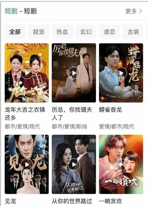 亿万盛宠短剧在线观看平台全集--第1张