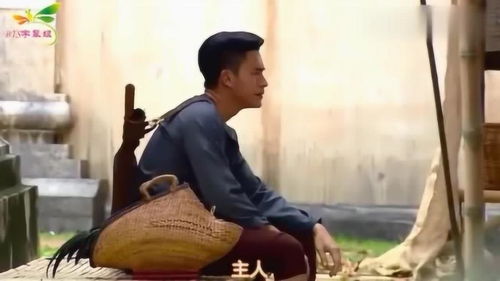 阴差阳错爱上你短剧在线观看平台-舒予--第1张