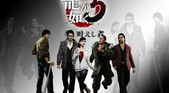 如龙短剧在线观看，高清版--第1张