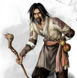 开局从丐帮开始短剧在线观看平台 武侠从丐帮帮主开始--第1张
