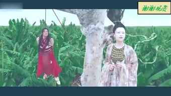 无极归来美美短剧在线观看，揭秘第一集的奇幻世界--第1张