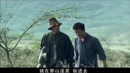 《北国》 北国营救之前妻悔不当初短剧在线观看平台--第1张