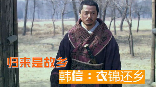 王者归来之衣锦还乡短剧在线观看平台 《王者归来》--第1张
