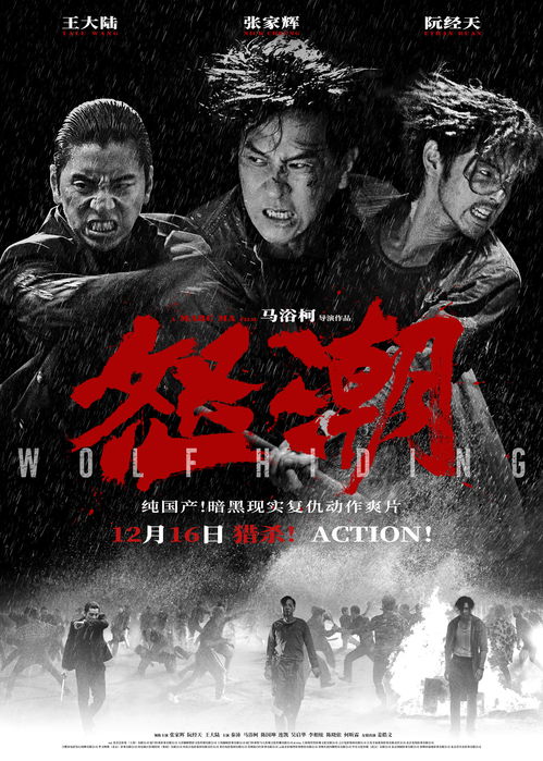 怒潮电影简介 N怒潮短剧在线观看平台--第1张