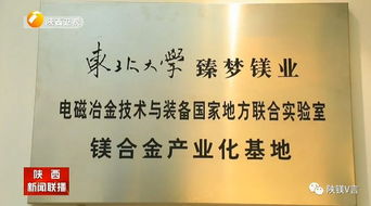 全球冰封时代，末日安全屋--第1张