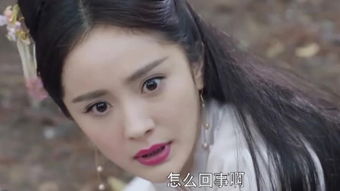 无极天尊短剧在线观看平台 无极天尊短剧在线观看平台全集--第1张