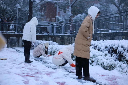 雪落下的声音短剧在线观看平台--第1张