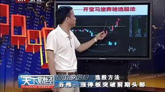 天下财皇张亚萍短剧在线观看平台，短剧播放平台在线观看--第1张