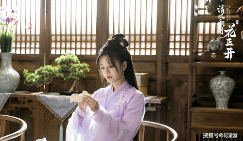 雨落花正开短剧在线观看平台 《雨落花开》--第1张