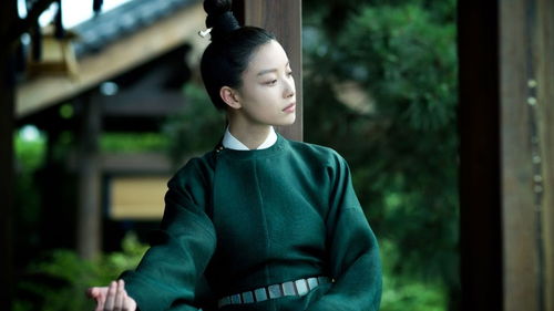 总裁追妻如命，替身娇妻别想逃--第1张