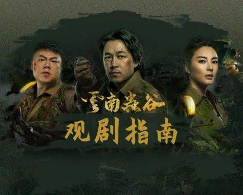 高清过界短剧在线观看平台--第1张