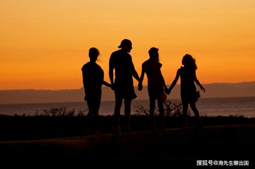 为你逆风而行免费 新为你逆光而来短剧在线观看平台--第1张