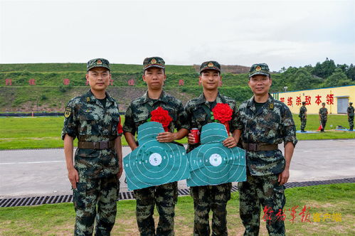 新逆袭的村庄，新兵的成长之路--第1张