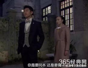天斩短剧在线观看平台之斩断宿命--第1张