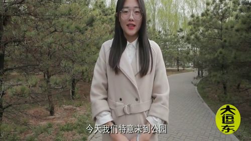 傅太太征婚记，傅总太太的再婚挑战--第1张