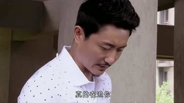 前妻太撩人傅总追疯了短剧在线观看平台免费 前妻太撩人傅总追疯了短剧在线观看平台--第1张