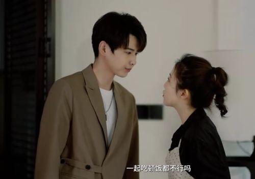 双生夺爱陆总你认错夫人了短剧在线观看平台免费 双生夺爱陆总你认错夫人了短剧在线观看平台--第1张