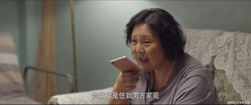 顾总夫人她认罪跳楼了在线观看平台--第1张