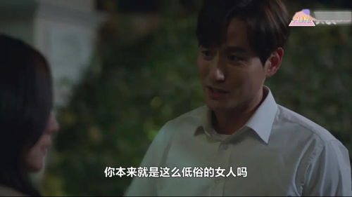 重生后我报复了渣男全家短剧在线观看平台 重生后我报复了渣男全家短剧在线观看平台免费--第1张