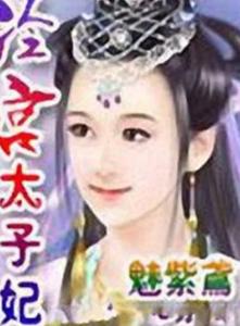 冷宫太子妃长篇短剧在线观看平台，免费观看平台，精彩短剧在线看--第1张
