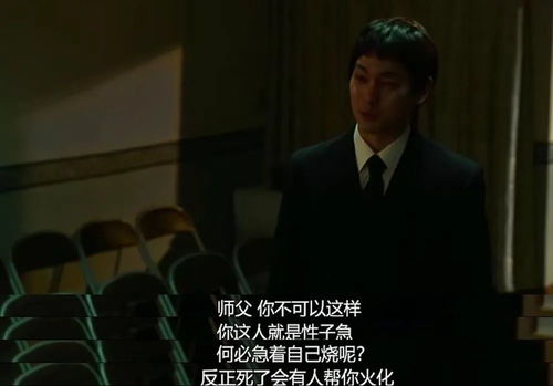 重启之传奇人生短剧在线观看平台--第1张