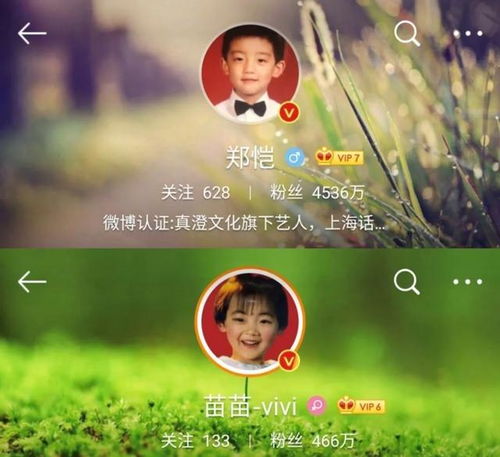余生有你刚刚好短剧在线观看平台--第1张