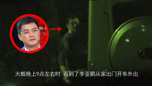 L临夜传短剧在线观看平台 --第1张