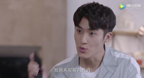 失忆过后 失忆后霍总对我又宠又撩短剧在线观看平台--第1张