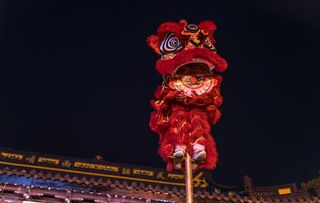 奇门神王短剧在线观看平台高清版--第1张