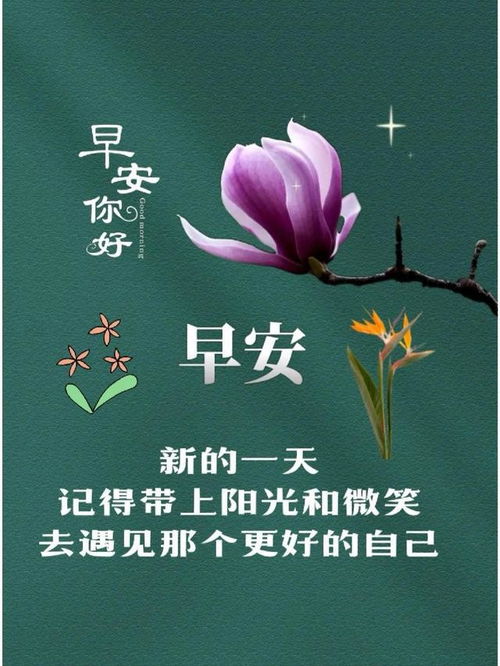 时光静待花开短剧在线观看平台-免费高清下载--第1张