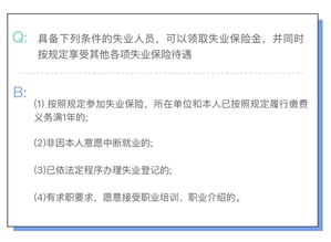辞职后我爆红全宇宙[快穿]许开 离职后豪门少爷的身份藏不住了--第1张