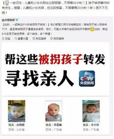 寻亲短剧在线观看平台，重逢的温馨时光--第1张