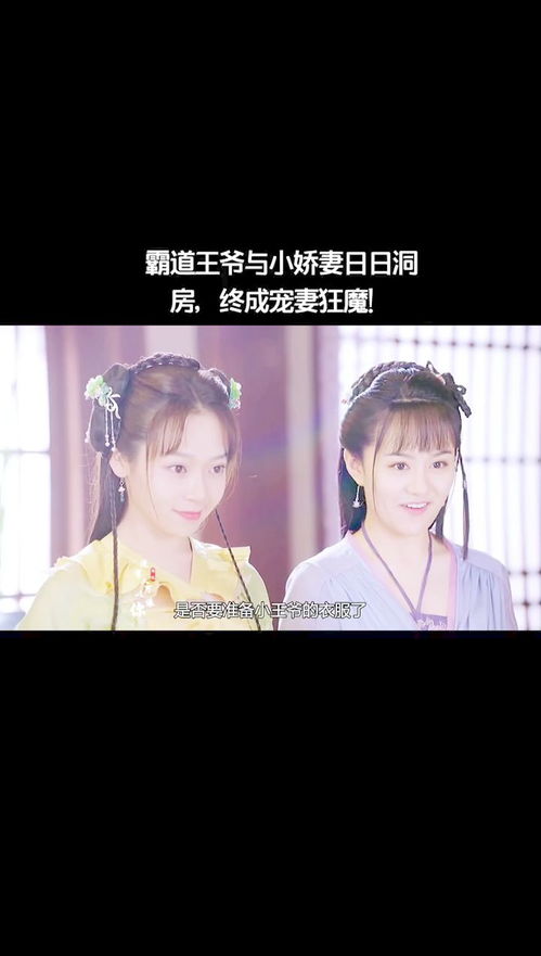霸道王爷的丫鬟娇妻穿越剧短剧在线观看平台 霸道王爷的丫鬟娇妻穿越剧短剧在线观看平台--第1张