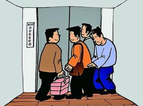 我的精神病患者，一触即发短剧在线观看平台--第1张