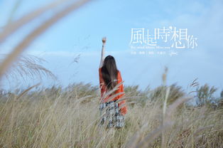风起时见你短剧在哪个平台在线观看--第1张