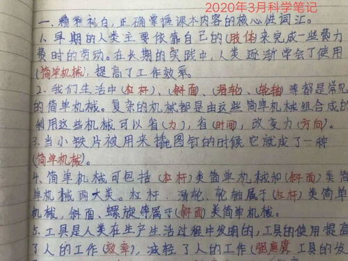 我有一支神笔作文300字三年级 我有一只神笔短剧在线观看平台--第1张