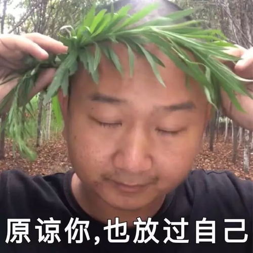 假死后大佬 假死后傅总跪求原谅短剧在线观看平台--第1张