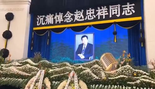重回缔造商业帝国短剧在线观看平台免费 重回缔造商业帝国，短剧在线观看平台--第1张