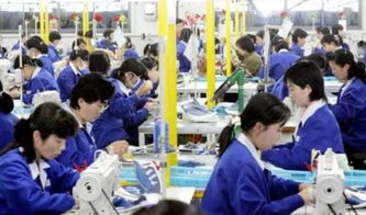 赚钱从捡破烂开始笔趣阁 赚钱从捡破烂开始--第1张