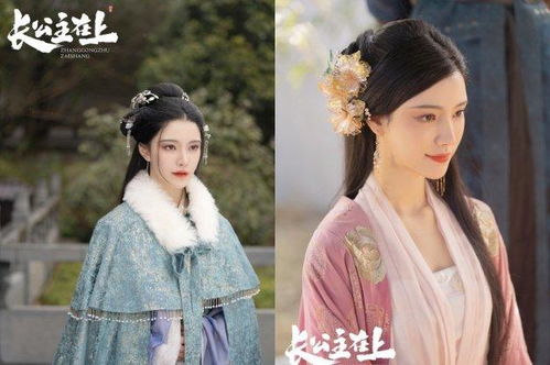 《长公主》 长公主在上短剧一口气看完--第1张