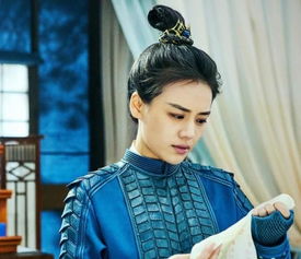 女将军娶男的电视剧叫什么--第1张
