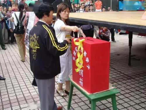 龙归短剧免费观看，一场视觉与情感的盛宴--第1张