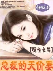 顾总的天价小娇妻后续，顾总的天价前妻--第1张